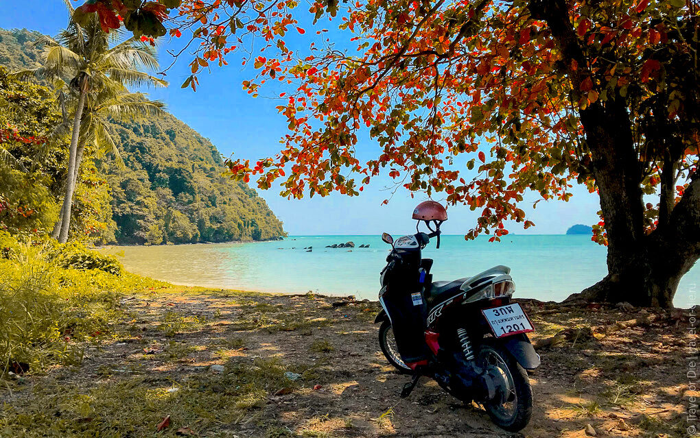 ภูเก็ตไร้ขีดจำกัด: ข้อดีของการเช่ามอเตอร์ไซค์เพื่อสำรวจทุกมุมของเกาะ